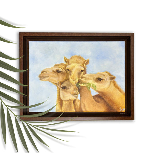 Royal Camel Farm Canvas